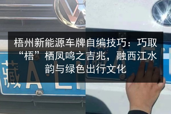 梧州新能源车牌自编技巧：巧取“梧”栖凤鸣之吉兆，融西江水韵与绿色出行文化