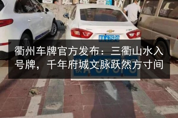 衢州车牌官方发布:三衢山水入号牌,千年府城文脉跃然方寸间 第3张 衢州车牌官方发布:三衢山水入号牌,千年府城文脉跃然方寸间 第3张