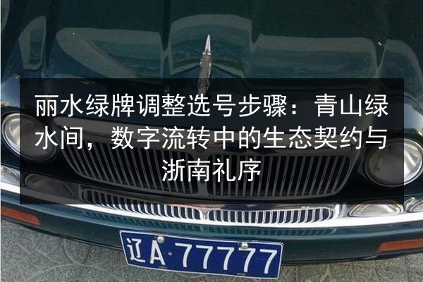 丽水绿牌调整选号步骤：青山绿水间，数字流转中的生态契约与浙南礼序