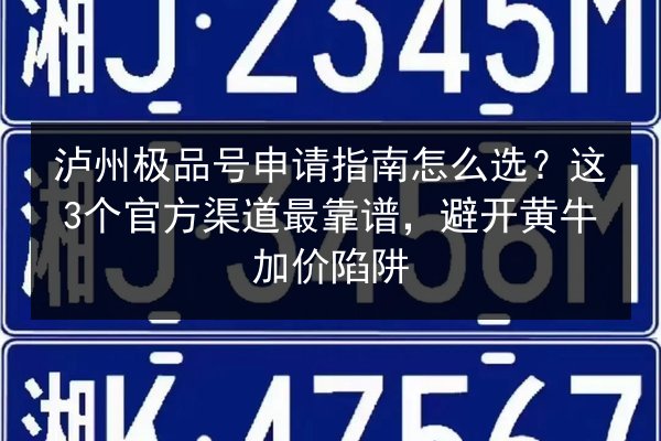 泸州极品号申请指南怎么选?这3个官方渠道最靠谱,避开黄牛加价陷阱 第2张 泸州极品号申请指南怎么选?这3个官方渠道最靠谱,避开黄牛加价陷阱 第2张