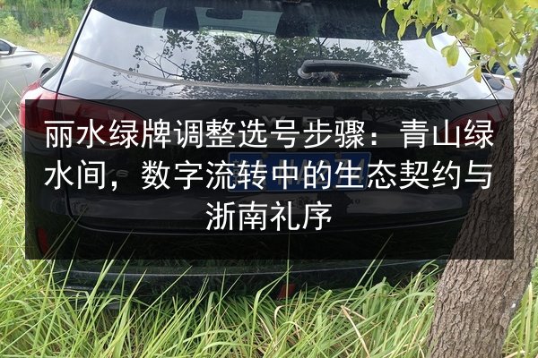 丽水绿牌调整选号步骤:青山绿水间,数字流转中的生态契约与浙南礼序 第2张 丽水绿牌调整选号步骤:青山绿水间,数字流转中的生态契约与浙南礼序 第2张