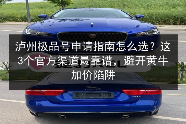 泸州极品号申请指南怎么选?这3个官方渠道最靠谱,避开黄牛加价陷阱 第3张 泸州极品号申请指南怎么选?这3个官方渠道最靠谱,避开黄牛加价陷阱 第3张