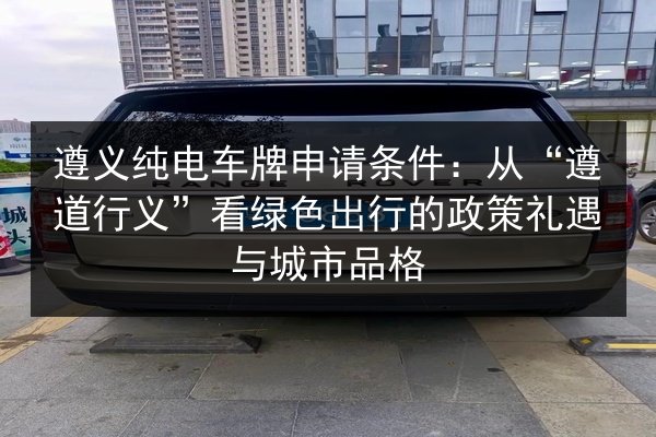 遵义纯电车牌申请条件：从“遵道行义”看绿色出行的政策礼遇与城市品格 第3张