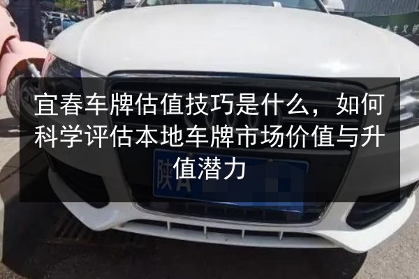 宜春车牌估值技巧是什么，如何科学评估本地车牌市场价值与升值潜力 第2张