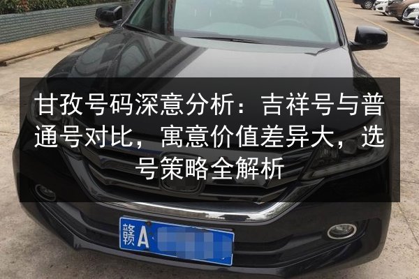 甘孜号码深意分析：吉祥号与普通号对比，寓意价值差异大，选号策略全解析