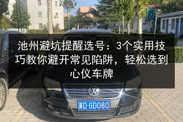 池州避坑提醒选号：3个实用技巧教你避开常见陷阱，轻松选到心仪车牌