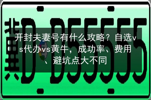 开封夫妻号有什么攻略?自选vs代办vs黄牛,成功率、费用、避坑点大不同 第1张 开封夫妻号有什么攻略?自选vs代办vs黄牛,成功率、费用、避坑点大不同 第1张