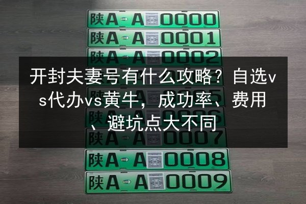 开封夫妻号有什么攻略?自选vs代办vs黄牛,成功率、费用、避坑点大不同 第2张 开封夫妻号有什么攻略?自选vs代办vs黄牛,成功率、费用、避坑点大不同 第2张