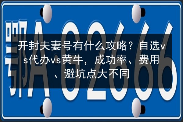 开封夫妻号有什么攻略?自选vs代办vs黄牛,成功率、费用、避坑点大不同 第3张 开封夫妻号有什么攻略?自选vs代办vs黄牛,成功率、费用、避坑点大不同 第3张