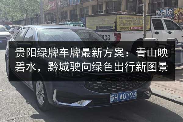 贵阳绿牌车牌最新方案：青山映碧水，黔城驶向绿色出行新图景 第3张