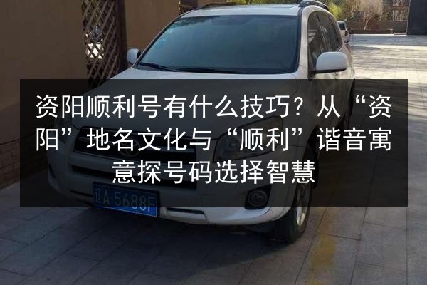 资阳顺利号有什么技巧？从“资阳”地名文化与“顺利”谐音寓意探号码选择智慧