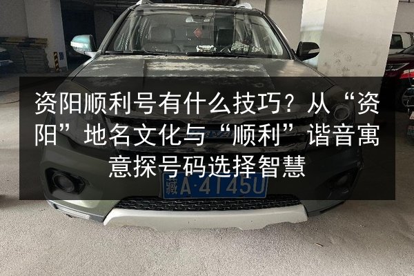 资阳顺利号有什么技巧？从“资阳”地名文化与“顺利”谐音寓意探号码选择智慧 第2张