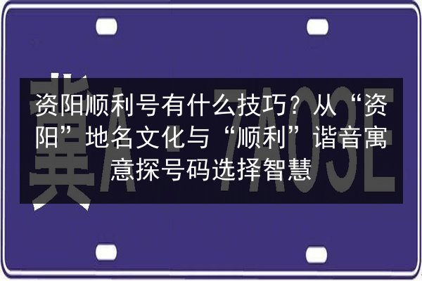 资阳顺利号有什么技巧？从“资阳”地名文化与“顺利”谐音寓意探号码选择智慧 第3张