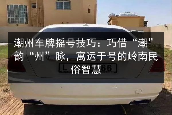 潮州车牌摇号技巧：巧借“潮”韵“州”脉，寓运于号的岭南民俗智慧 第2张