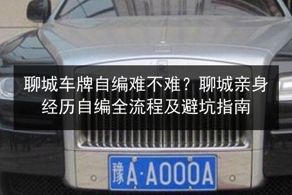 聊城车牌自编难不难？聊城亲身经历自编全流程及避坑指南