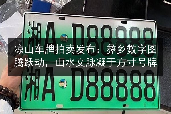 凉山车牌拍卖发布:彝乡数字图腾跃动,山水文脉凝于方寸号牌 第1张 凉山车牌拍卖发布:彝乡数字图腾跃动,山水文脉凝于方寸号牌 第1张