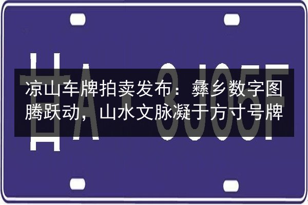 凉山车牌拍卖发布:彝乡数字图腾跃动,山水文脉凝于方寸号牌 第2张 凉山车牌拍卖发布:彝乡数字图腾跃动,山水文脉凝于方寸号牌 第2张