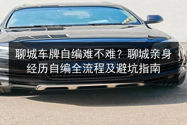 聊城车牌自编难不难?聊城亲身经历自编全流程及避坑指南 第3张 聊城车牌自编难不难?聊城亲身经历自编全流程及避坑指南 第3张