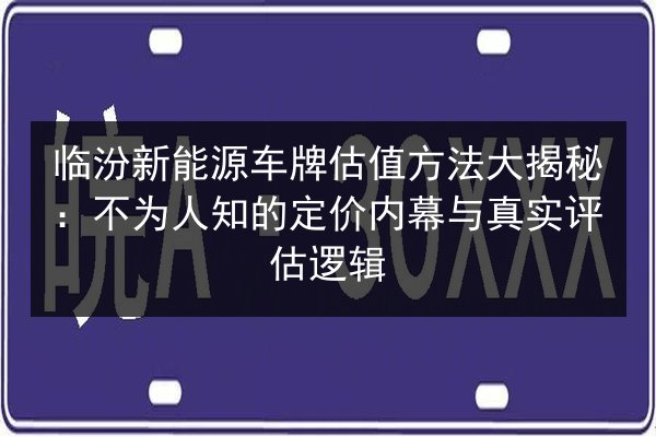临汾新能源车牌估值方法大揭秘:不为人知的定价内幕与真实评估逻辑 第3张 临汾新能源车牌估值方法大揭秘:不为人知的定价内幕与真实评估逻辑 第3张