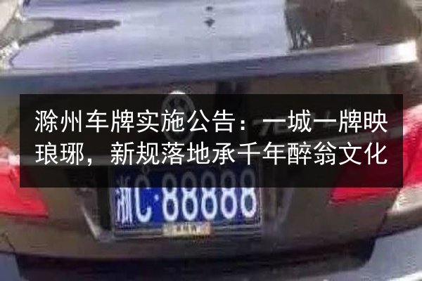 滁州车牌实施公告:一城一牌映琅琊,新规落地承千年醉翁文化 第3张 滁州车牌实施公告:一城一牌映琅琊,新规落地承千年醉翁文化 第3张