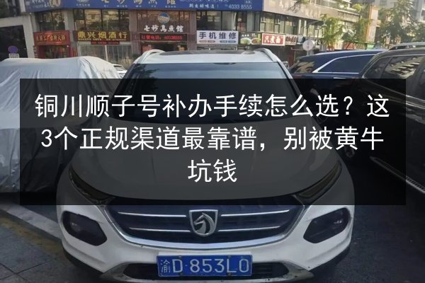 铜川顺子号补办手续怎么选？这3个正规渠道最靠谱，别被黄牛坑钱