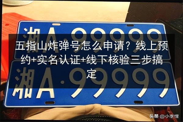 五指山炸弹号怎么申请?线上预约+实名认证+线下核验三步搞定 第2张 五指山炸弹号怎么申请?线上预约+实名认证+线下核验三步搞定 第2张