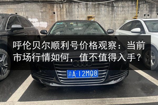 呼伦贝尔顺利号价格观察：当前市场行情如何，值不值得入手？ 第2张