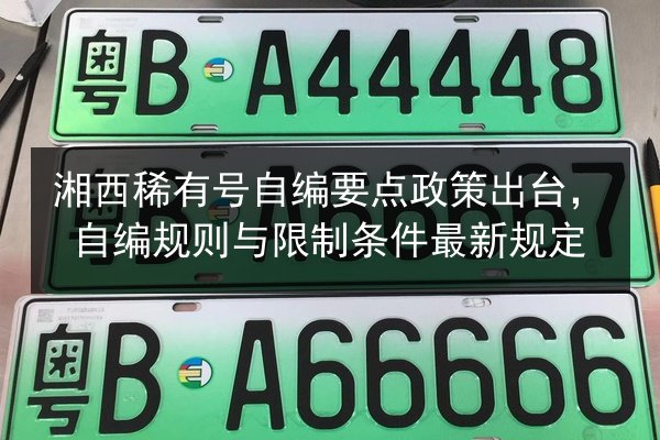 湘西稀有号自编要点政策出台，自编规则与限制条件最新规定