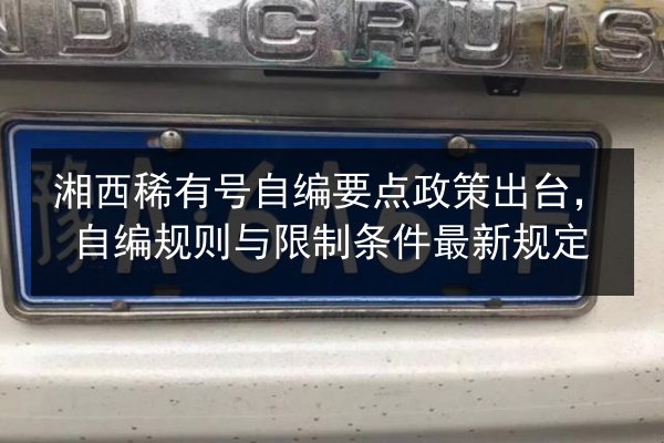 湘西稀有号自编要点政策出台，自编规则与限制条件最新规定 第2张