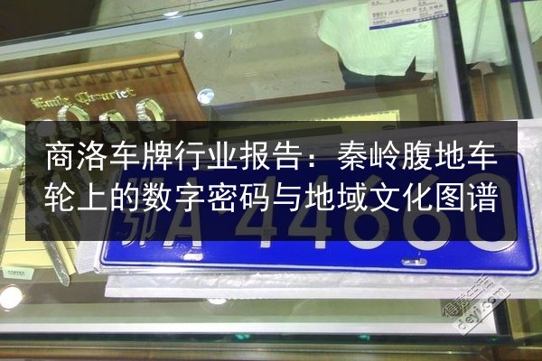 商洛车牌行业报告：秦岭腹地车轮上的数字密码与地域文化图谱