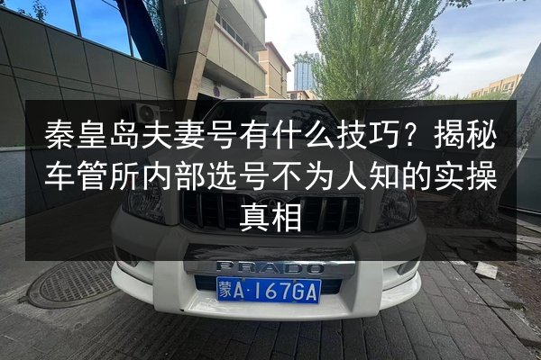 秦皇岛夫妻号有什么技巧？揭秘车管所内部选号不为人知的实操真相 第3张