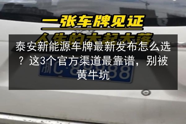泰安新能源车牌最新发布怎么选?这3个官方渠道最靠谱,别被黄牛坑 第2张 泰安新能源车牌最新发布怎么选?这3个官方渠道最靠谱,别被黄牛坑 第2张