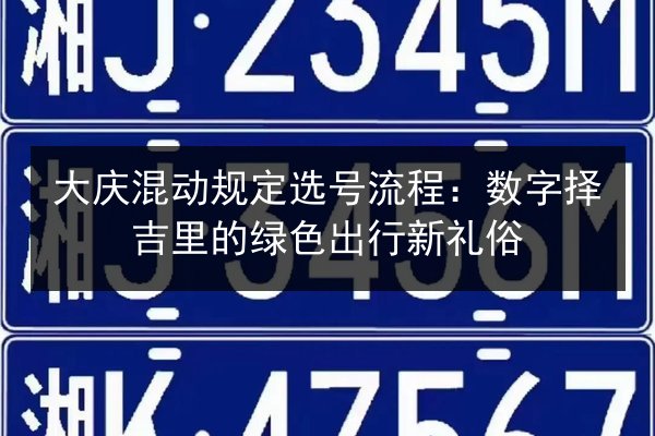 大庆混动规定选号流程：数字择吉里的绿色出行新礼俗