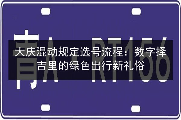 大庆混动规定选号流程:数字择吉里的绿色出行新礼俗 第2张 大庆混动规定选号流程:数字择吉里的绿色出行新礼俗 第2张