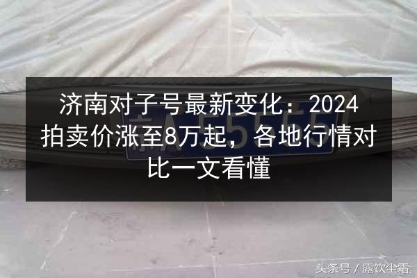 济南对子号最新变化：2024拍卖价涨至8万起，各地行情对比一文看懂