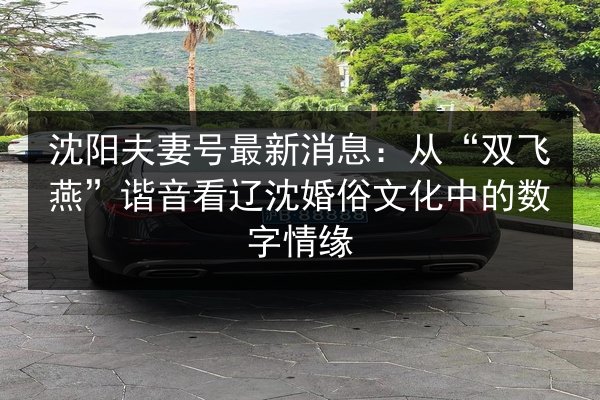 沈阳夫妻号最新消息：从“双飞燕”谐音看辽沈婚俗文化中的数字情缘