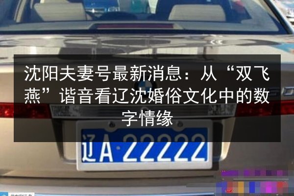 沈阳夫妻号最新消息:从“双飞燕”谐音看辽沈婚俗文化中的数字情缘 第2张 沈阳夫妻号最新消息:从“双飞燕”谐音看辽沈婚俗文化中的数字情缘 第2张