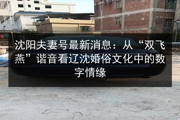 沈阳夫妻号最新消息:从“双飞燕”谐音看辽沈婚俗文化中的数字情缘 第3张 沈阳夫妻号最新消息:从“双飞燕”谐音看辽沈婚俗文化中的数字情缘 第3张