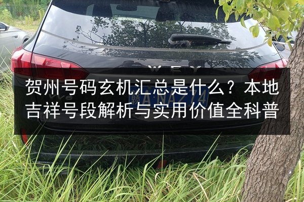 贺州号码玄机汇总是什么？本地吉祥号段解析与实用价值全科普 第2张