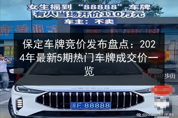 保定车牌竞价发布盘点：2024年最新5期热门车牌成交价一览