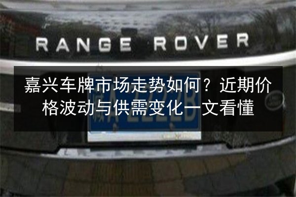 嘉兴车牌市场走势如何？近期价格波动与供需变化一文看懂