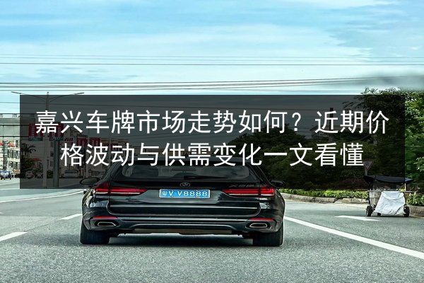 嘉兴车牌市场走势如何？近期价格波动与供需变化一文看懂 第2张