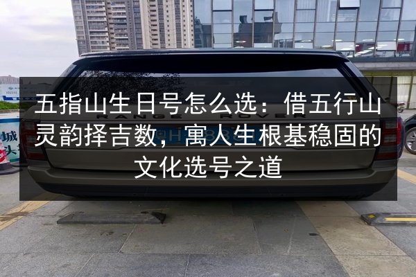 五指山生日号怎么选：借五行山灵韵择吉数，寓人生根基稳固的文化选号之道 第2张