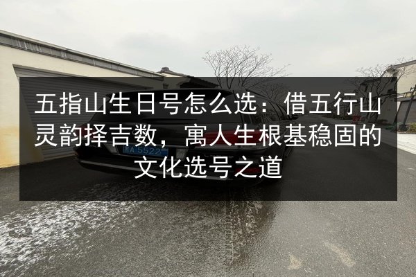 五指山生日号怎么选：借五行山灵韵择吉数，寓人生根基稳固的文化选号之道 第3张