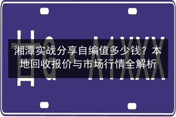 湘潭实战分享自编值多少钱？本地回收报价与市场行情全解析