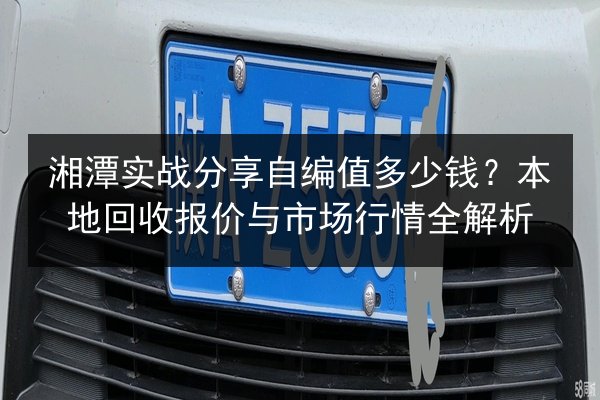 湘潭实战分享自编值多少钱？本地回收报价与市场行情全解析 第2张