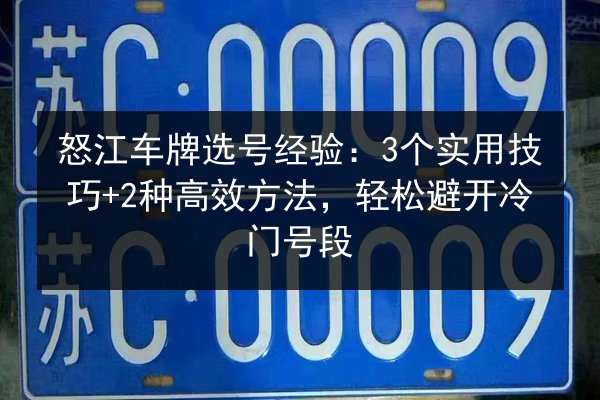 怒江车牌选号经验：3个实用技巧+2种高效方法，轻松避开冷门号段