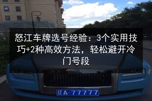 怒江车牌选号经验:3个实用技巧+2种高效方法,轻松避开冷门号段 第3张 怒江车牌选号经验:3个实用技巧+2种高效方法,轻松避开冷门号段 第3张
