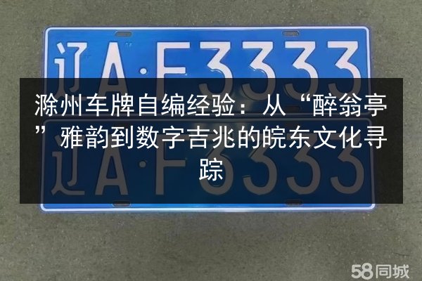 滁州车牌自编经验：从“醉翁亭”雅韵到数字吉兆的皖东文化寻踪 第3张