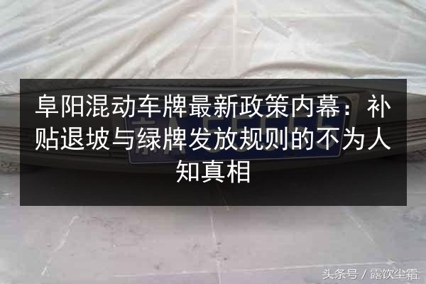 阜阳混动车牌最新政策内幕:补贴退坡与绿牌发放规则的不为人知真相 第2张 阜阳混动车牌最新政策内幕:补贴退坡与绿牌发放规则的不为人知真相 第2张